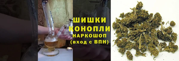 мескалин Заводоуковск