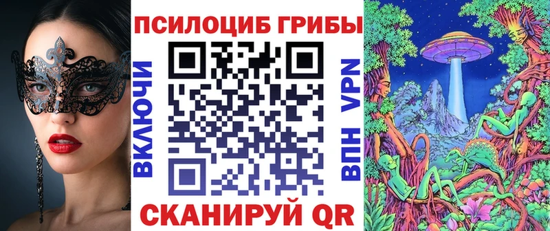 Купить  Борзя  Псилоцибиновые грибы мухоморы 