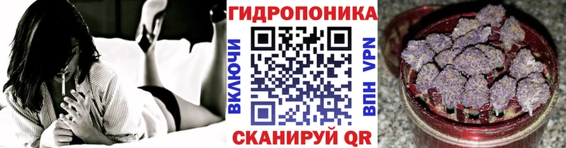 Марихуана MAZAR  Купить  Борзя 